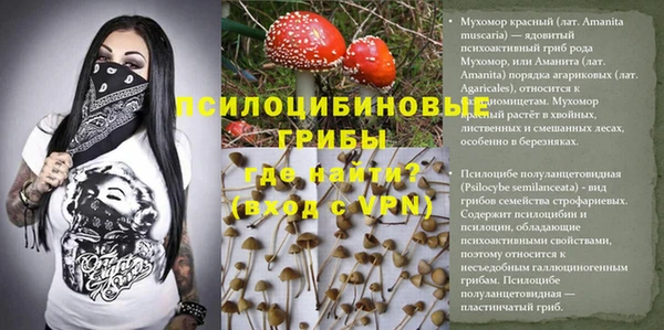бошки Абдулино