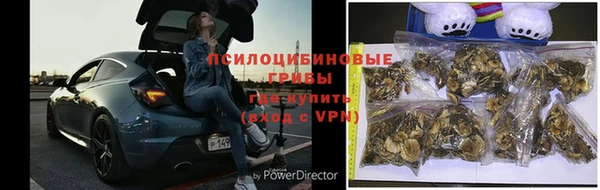бошки Абаза