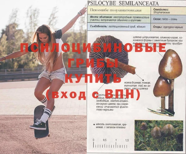 бошки Абдулино