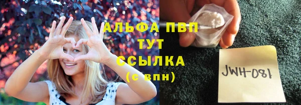 бошки Абаза