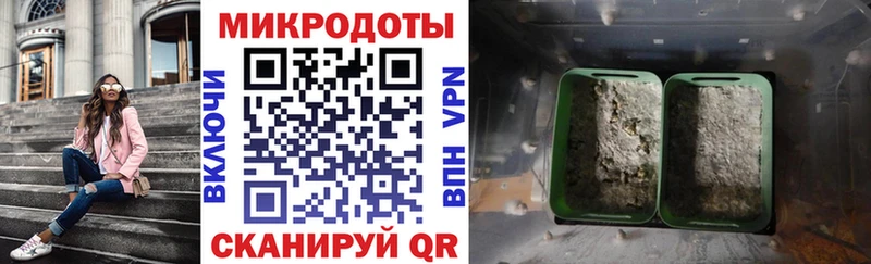 закладки  Балаково  Псилоцибиновые грибы прущие грибы 