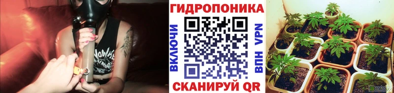 дарнет шоп  Балаково  Бошки Шишки план 